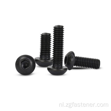 Roestvrij staal van hoge kwaliteit 304 316 Hex Socket Pan Kop Schroefknop Kopdopschroef